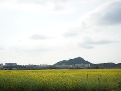 -光明小镇欢乐田园
