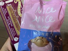-武汉知音号