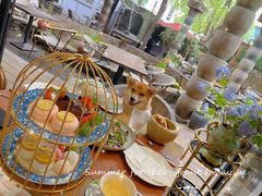 -Golden Lily河内巴黎法越料理餐厅(建国西路店)