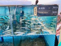 -欧记·龙城港(欣都店)