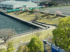 -台场海滨公园船码头
