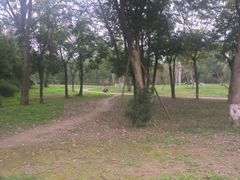 -白鹭湾湿地公园