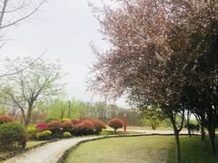 -中国天府农业博览园