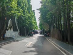 -日照海滨国家森林公园