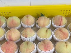 -老袁家蜜桃农场·阳山水蜜桃