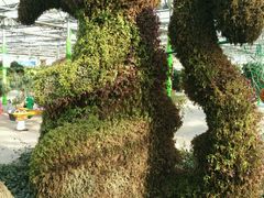 -天源吉布世温泉水乐园