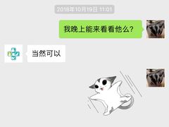-雨林宠物医院 非犬猫异宠专科