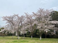 -尚湖风景区