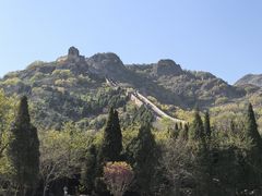 -龙香居海鲜浑锅家常菜·特色驴肉