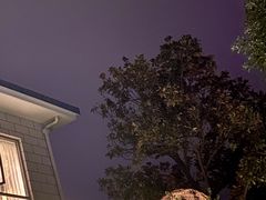 -恬阿姨庭院餐厅·生日宴
