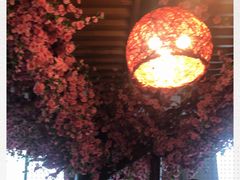 大堂-95号酱骨·一块豆腐(展春园西路店)