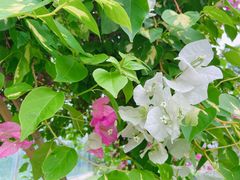 -迪茵湖田家舍生态农场