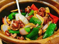 沙姜鸡-熠盛粤味·顺德桑拿鸡(永康路店)