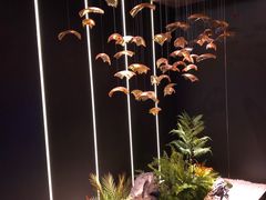 -沐庭影院泰式spa