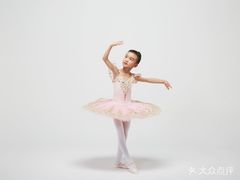 -中央芭蕾舞团·中芭艺蕾(酒仙桥明星校区)