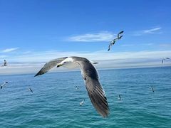 -海驴岛(荣成市)
