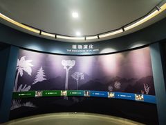 -国家自然博物馆