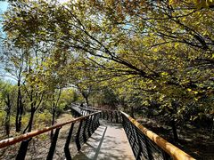 -白水寺森林公园