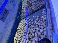 -澜悦港海鲜体验主题餐厅