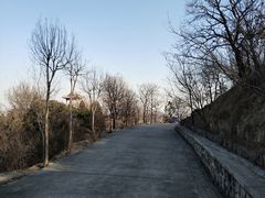 -北京鹫峰国家森林公园