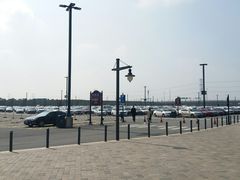 -迪士尼乐园停车场