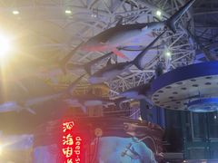-烟台海昌鲸鲨海洋公园