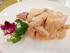 -黄埔华苑酒家(黄埔店)