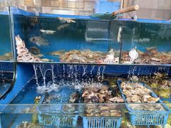 -北方饺子王·海肠捞饭·海鲜锅(山大店)