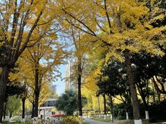 -苏州河梦清园环保主题公园