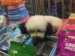 -健康路夜市