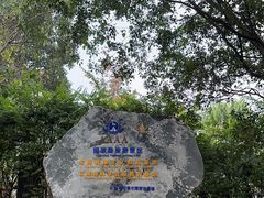 -云南勐巴娜西珍奇园