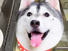 -海底捞火锅(海宁路店)