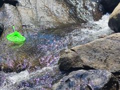 -武汉姚家山旅游景区
