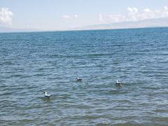 -青海湖国家重点风景名胜区