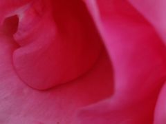 -菊园百果园