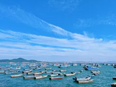 -海源公园