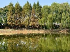 -洋湖国家湿地公园