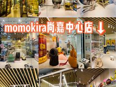 -momokira米努特·德文卷毛猫·棉花面纱犬
