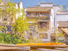 -婺源风景区