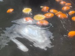 -西安国际创新人才交流中心•药浴温泉