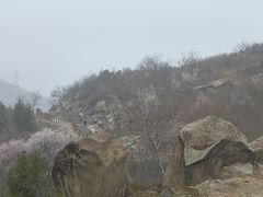 -白水寺森林公园