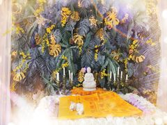 -彩虹桥宠物火化殡葬善终服务(金乐大厦店)