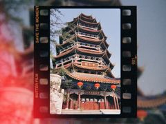 -铁山坪森林公园