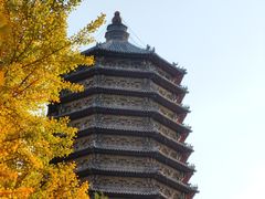 -玲珑塔公园