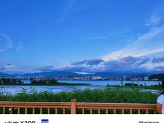 -洱海月湿地公园