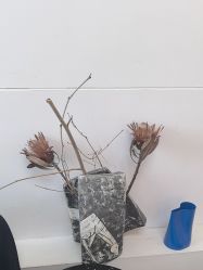 -小梨·OndaPro·专业脱毛连锁机构