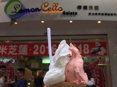 -柠檬车露(卖草地店)