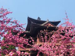 -西安青龙寺遗址景区