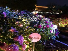 景点-景山公园