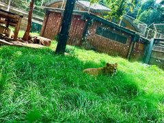 -昆明动物园